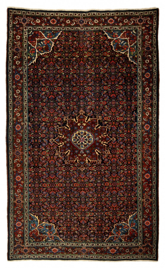 Kurden Bidjar alt